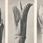 Bud Study (triptych)