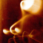 Light Study